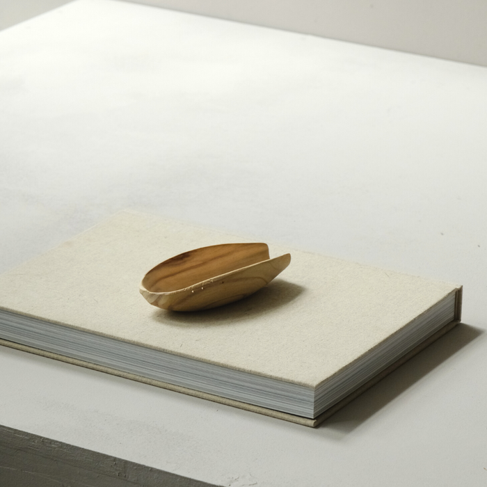 台灣杉 茶則 /表情 /金剛