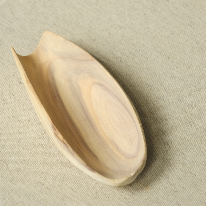 台灣杉 茶則 /表情 /金剛