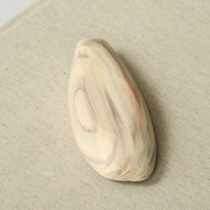 台灣杉 茶則 /表情 /金剛